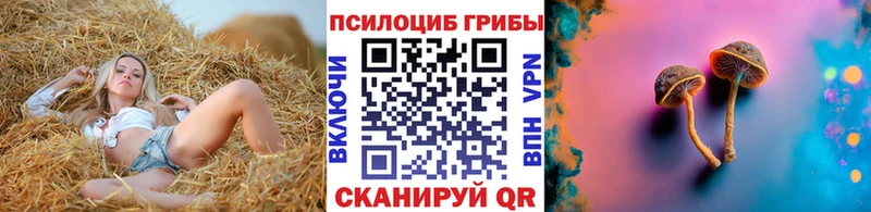 купить наркотик  Почеп  Галлюциногенные грибы ЛСД 